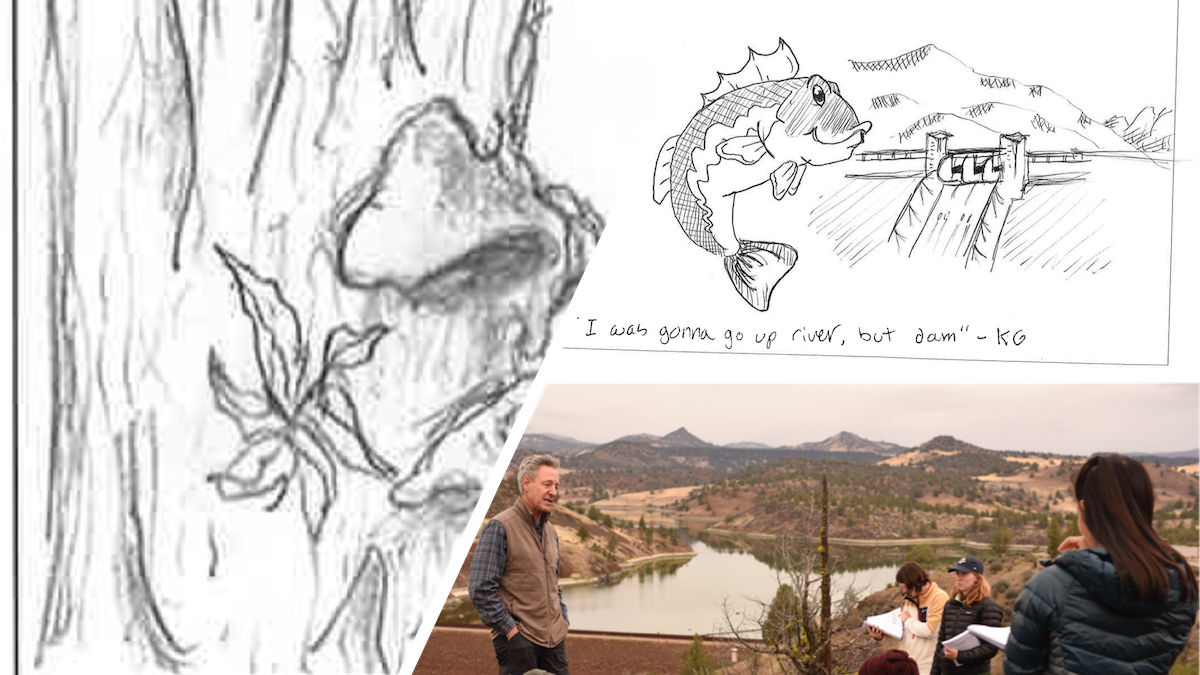 Day 11 – The Gift of Students