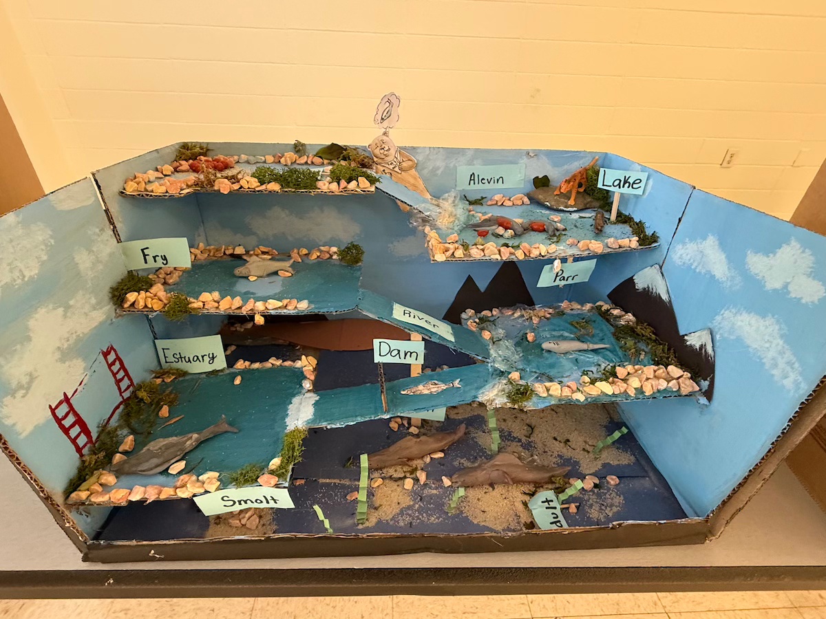 Students Take the Stage at the Spinning Salmon Showcase