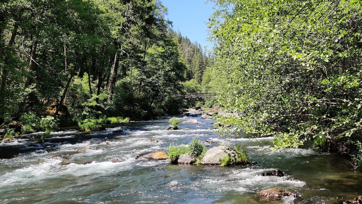 Life history differences between natural and hatchery-origin winter-run Chinook present opportunities and challenges for managing the endangered species