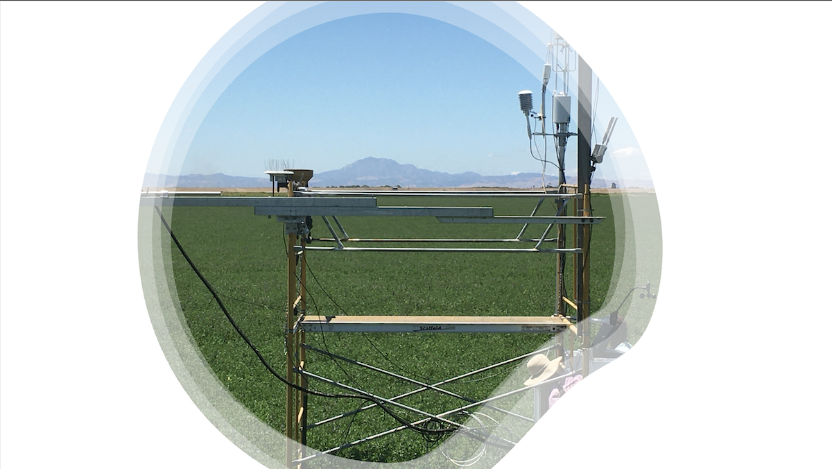 Lessons Learned Measuring and Modeling Evaporation across California