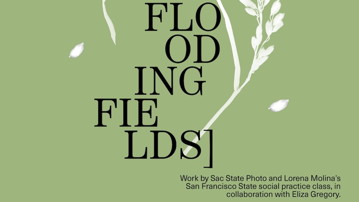 Getting Our Feet Wet: Bringing Photography Students into the Yolo Bypass 