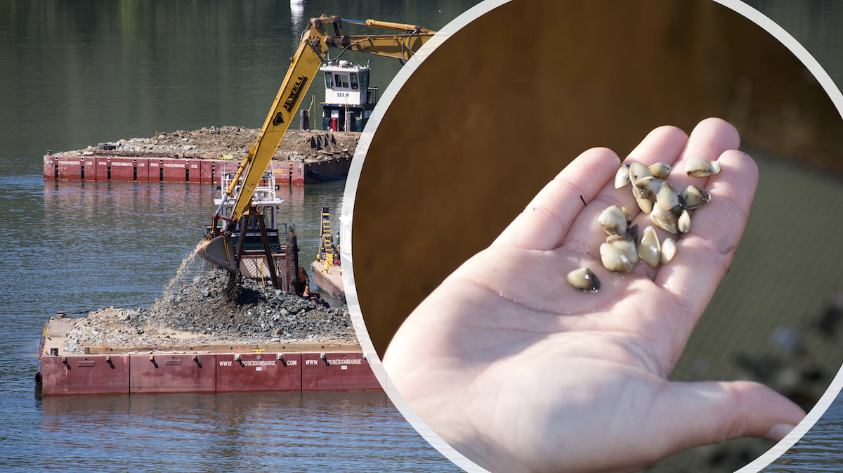 The Scourge of the Delta: Dredge It Up!